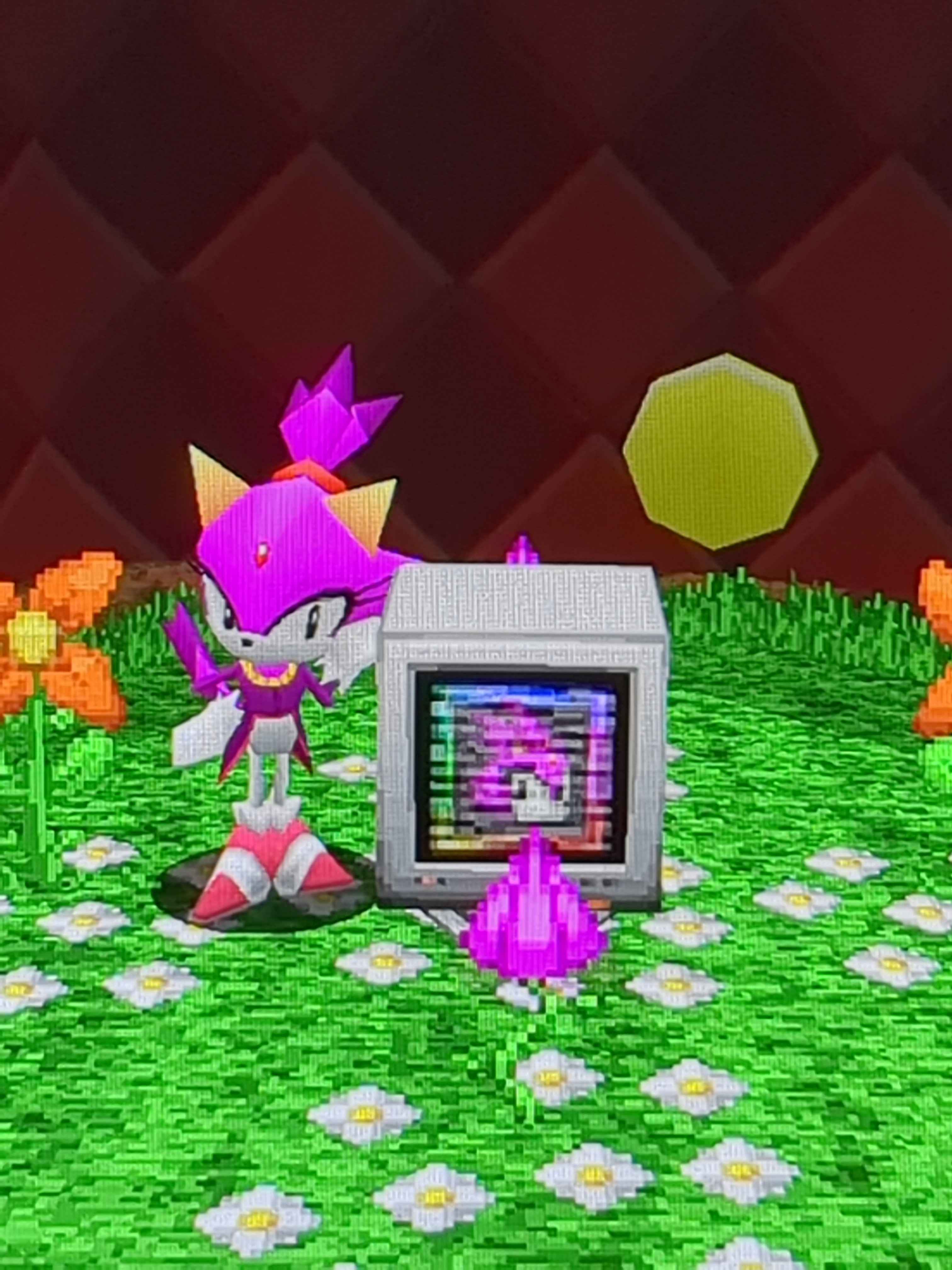 blaze the cat in SRB2 posing next to a life monitor